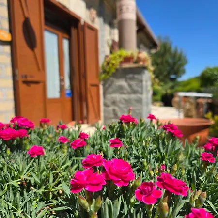 Le Fontane - Di Bolsena *